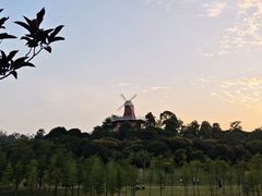 -东莞植物园