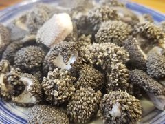 -金生隆(六铺炕店)