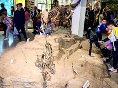 -自贡恐龙博物馆