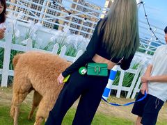 -Blue Concept Cafe&Farm·關於藍