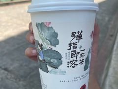筝筝纸鸢-茶颜悦色(坡子街幽兰阁店)