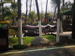 -合肥滨湖国家森林公园