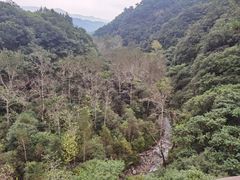 -玉渡山自然风景区