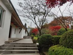 -四明山国家森林公园