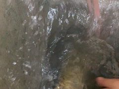 -金三可市井水煮鱼(金碧园店)