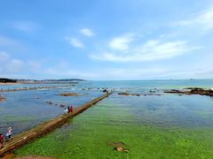 -青岛第二海水浴场