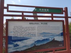 -江西阳明山国家森林公园