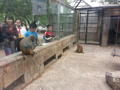 android_upload_pic-北京市海淀外国语实验学校