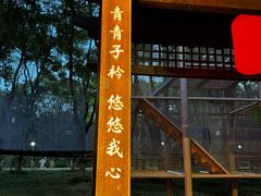-淹城春秋乐园