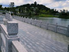 -王借岗森林公园