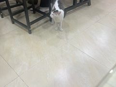 -玉椰林甜品店(创始店)