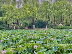 -南翠屏公园