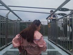 -梦幻奥陶纪景区