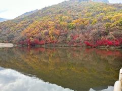 -龙道沟景区