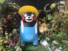 -杭州西湖银泰百货