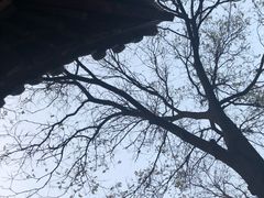 -碑林公园