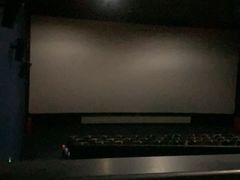 -SFC上影百联影城(大上海4DX店)