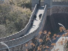 -黄贤森林公园