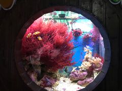 -杭州海底世界