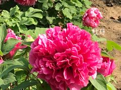 -江南大学(蠡湖校区)