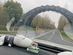 -黄海国家森林公园