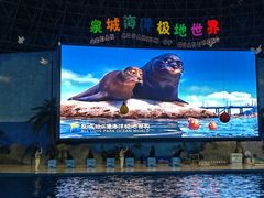 -泉城欧乐堡海洋极地世界