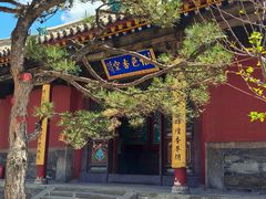 -五台山风景名胜区-罗睺寺