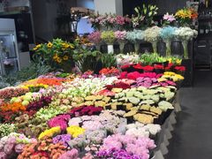 -双季花艺园艺市场(浦东店)