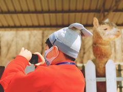 -大连铭湖国际观光牧场