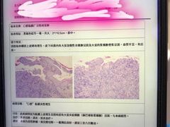 -申普宠物医院·眼科·心内科·影像科(普陀分院)