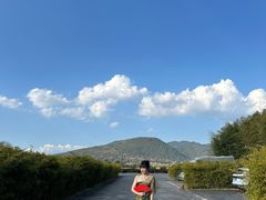 -腾冲和顺柏联酒店