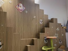 -COLOR PETS 撸猫馆·购猫·猫咖(长风大悦城店)