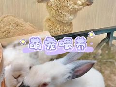 -上海山野camping·户外天幕烧烤·团建拓展营地