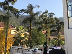 -重庆南山海昌汤都