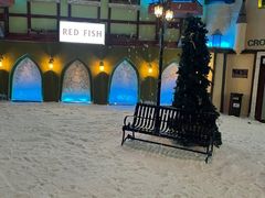 -世界之窗阿尔卑斯冰雪世界