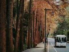 -青城山