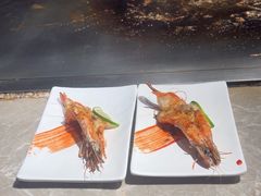 -奔海甄选·活鲜刺身铁板烧自助(太原里店)