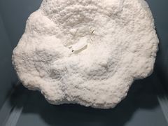 -天津自然博物馆