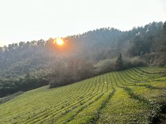 -敬亭山风景名胜区