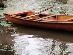 -渌洋湖湿地公园