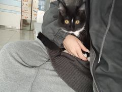 -中农国际动物医院24小时·猫科·骨科·急重症中心
