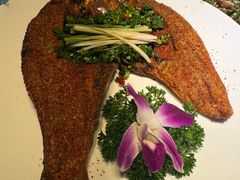 -香巴拉云南餐厅(华莱坞店)