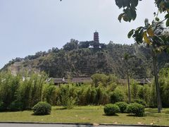 -南沙蒲洲花园