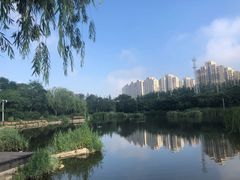 -前关湿地公园