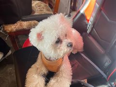 -E+有冰工厂·昆仑寒宫2(五角场店)