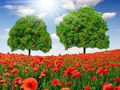 -南大门韩国米糕(公滨路店)