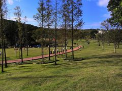 -牛岗山公园