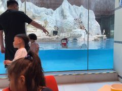 -帝企鹅自助餐厅•儿童岛•真企鹅(长隆企鹅酒店)