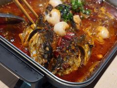 -鱼酷活鱼烤鱼(沈阳大悦城店)