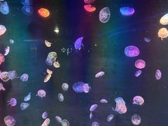 -聊城海底世界